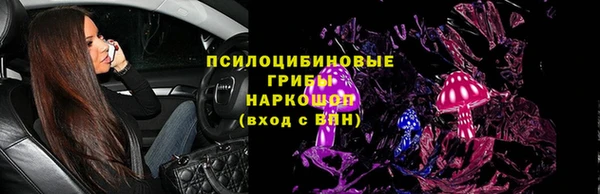 гидра Аркадак