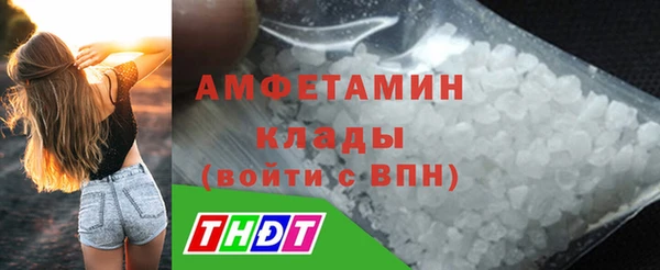 гидра Аркадак