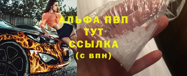 гидра Аркадак