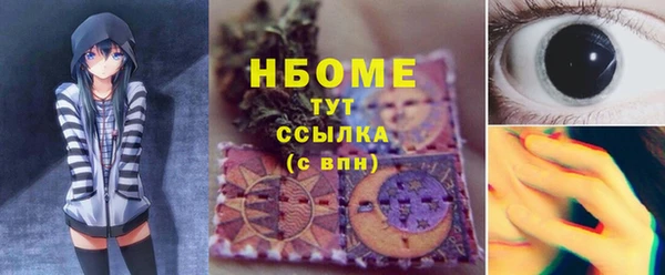 гидра Аркадак